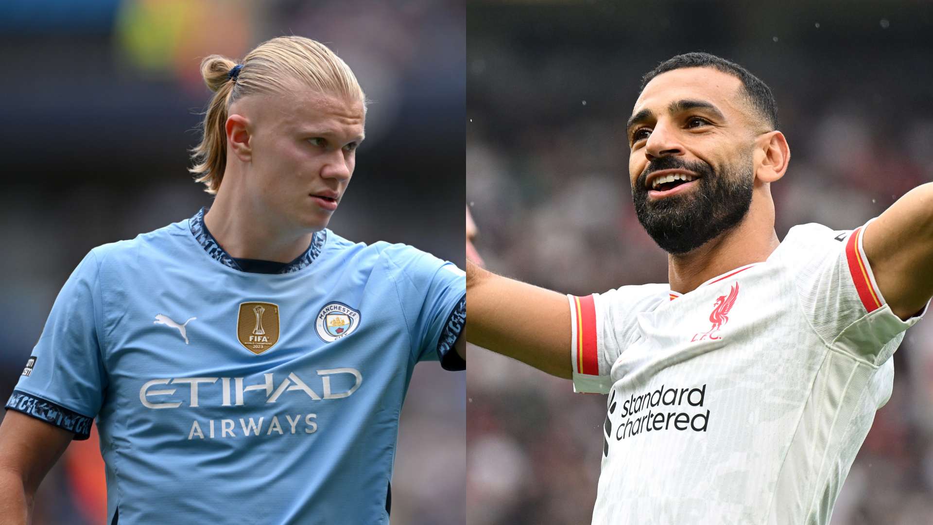 表现稳健 表现稳健